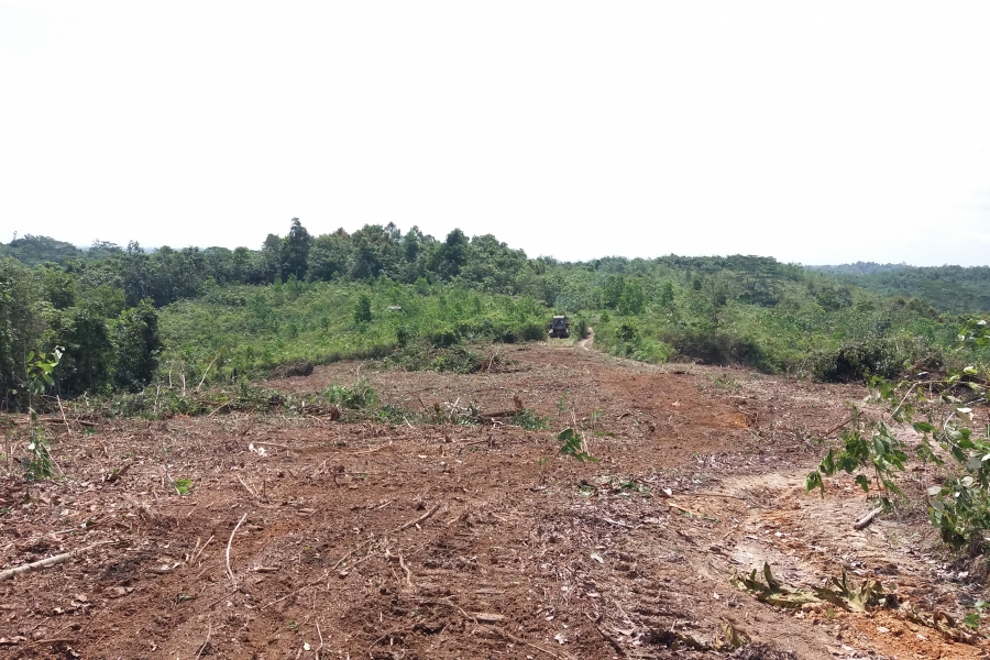 Perkembangan Lokasi Balikpapan 1 - Januari 2020