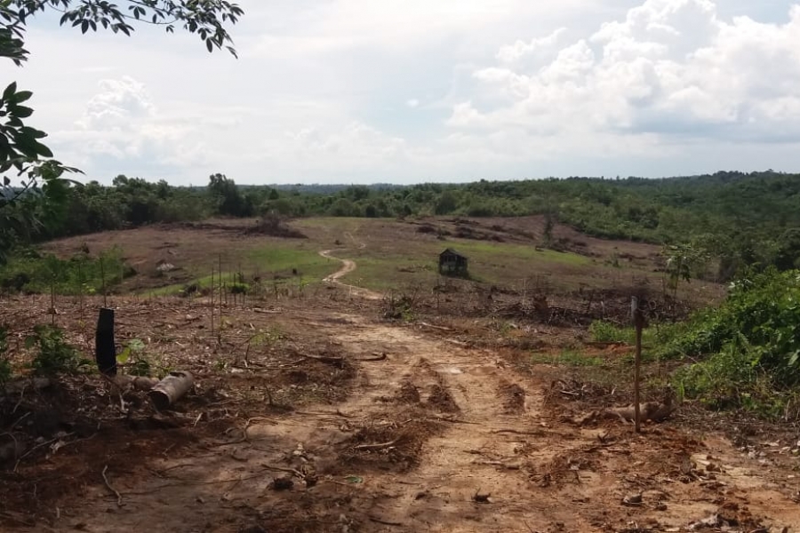 Perkembangan Pembersihan Lahan di Lokasi Balikpapan 1